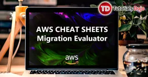 Migration Evaluator Cheat Sheet